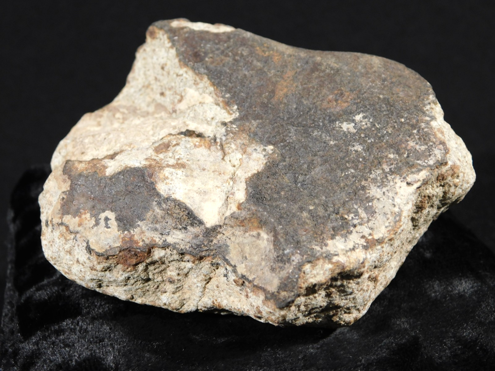 Larger! CLASSIFIED NWA 8245 METEORITE with Dark Fusion Crust Erfoud, Morocco 471