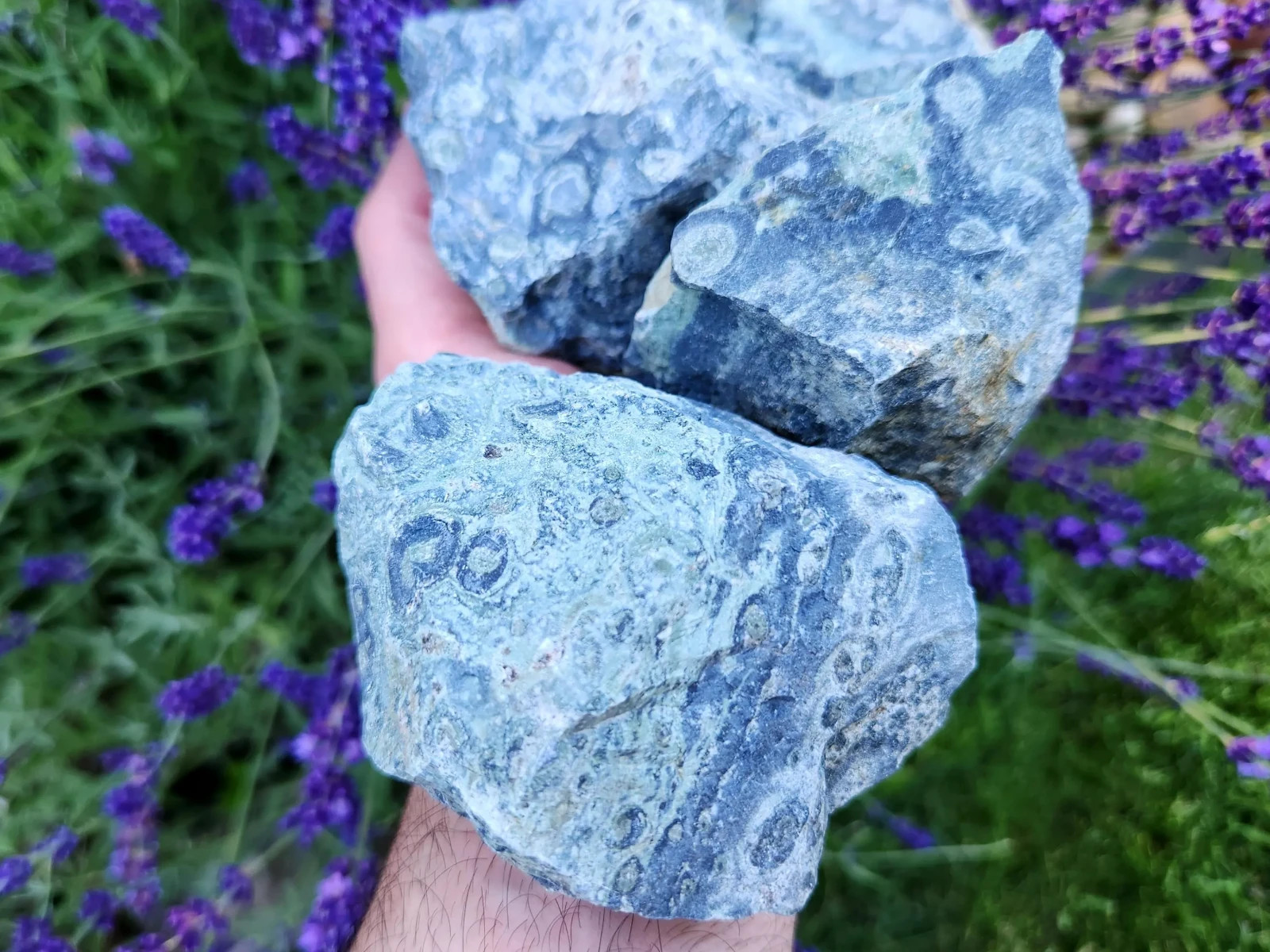 4.5 lbs Kambaba “Crocodile” Jasper – 5 Pieces – Ideal for Lapidary or Tumbling