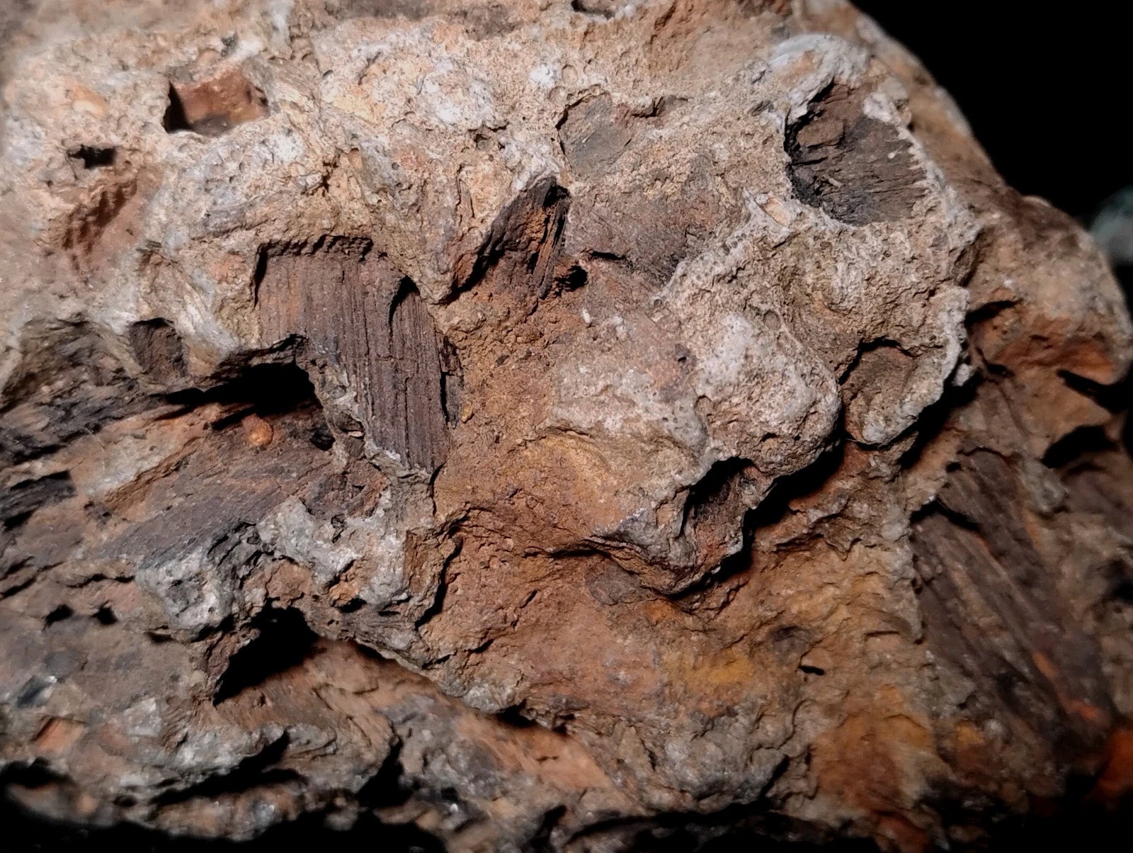 8″ Rare Missouri Iron-Aged Fossil Wood in Smoky Chalcedony – Knob Creek