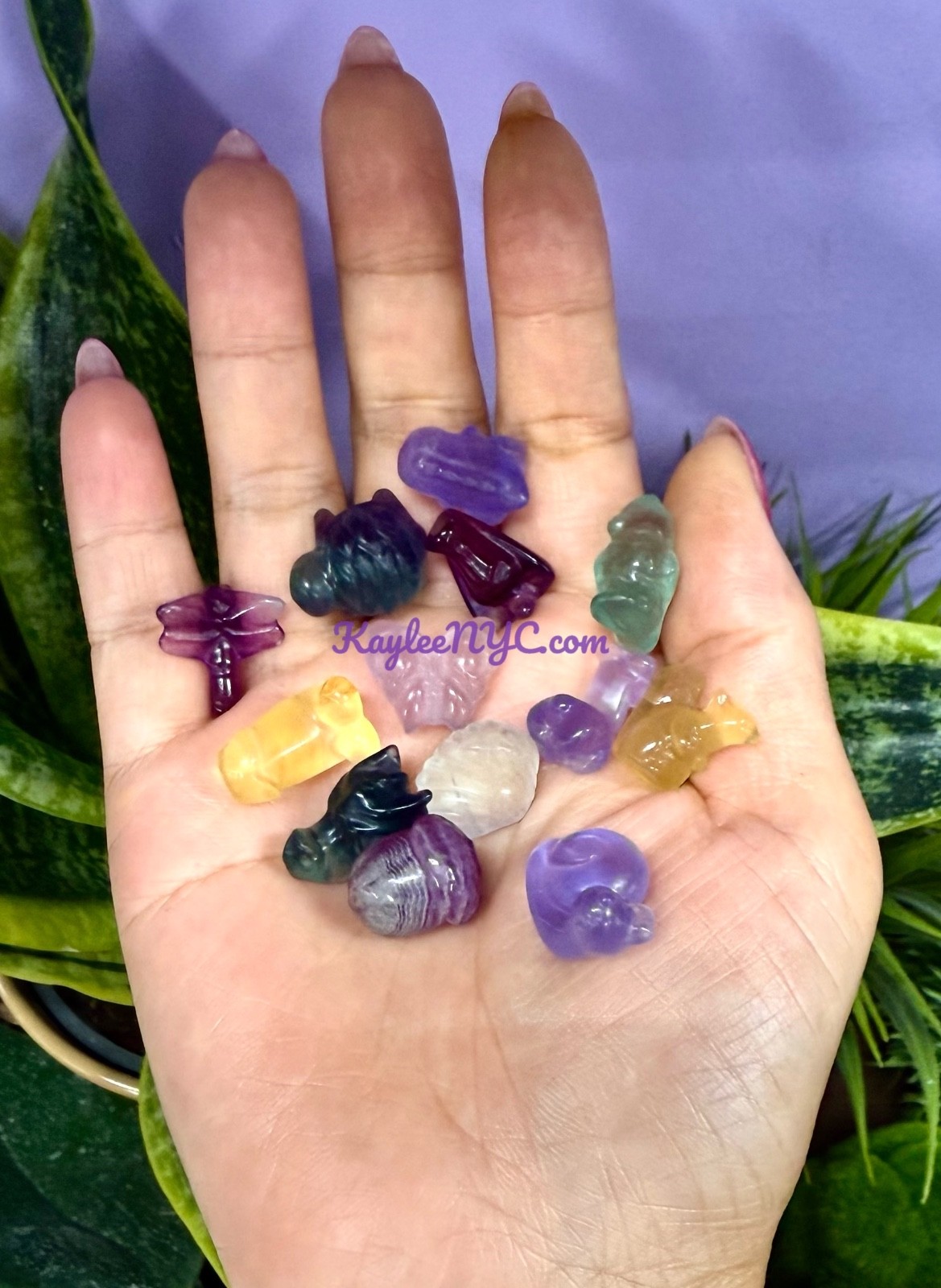 Wholesale Lot 24 Pcs Mix Mini Candy Fluorite Carvings Crystal Healing Energy
