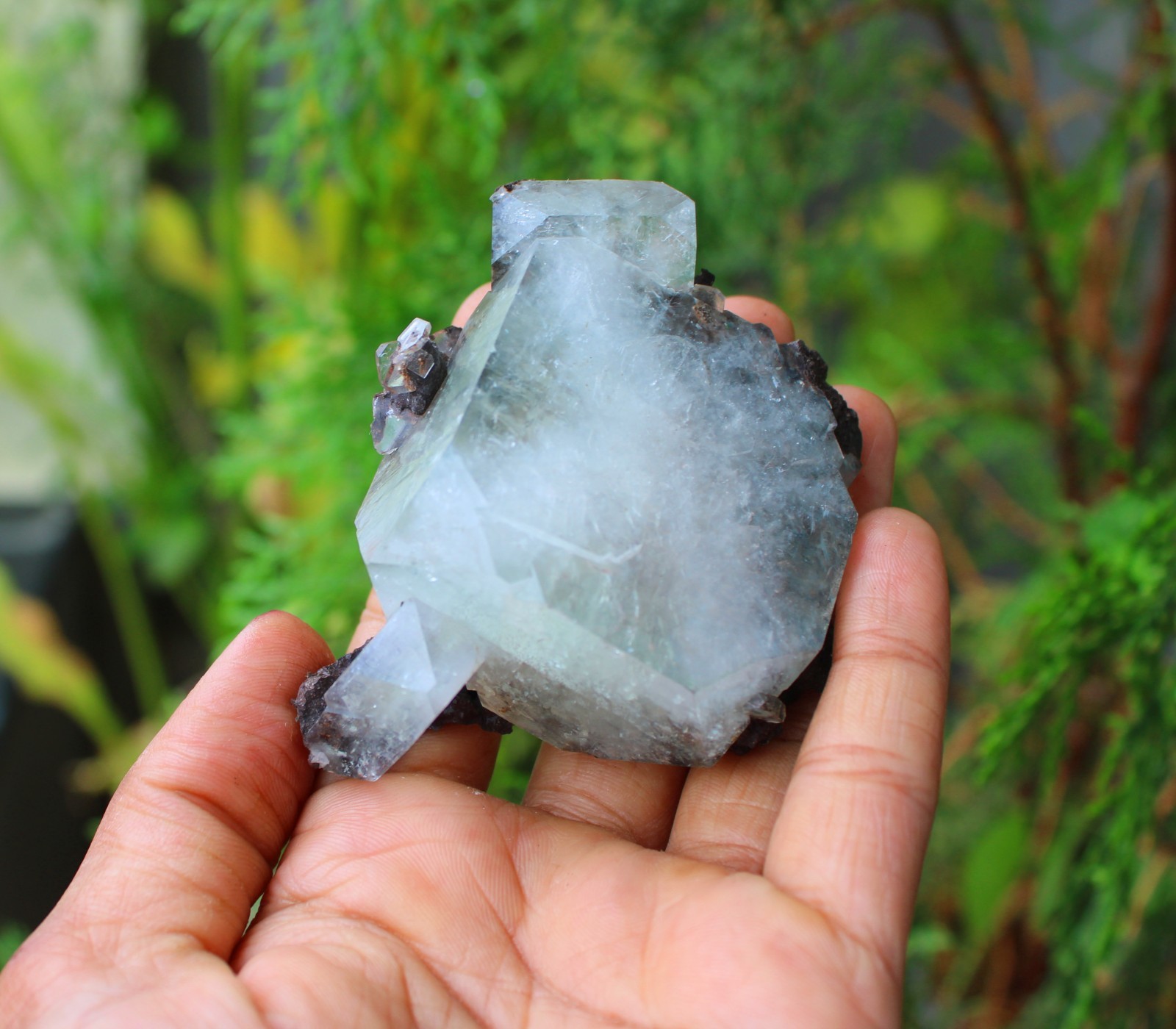 GREEN APOPHYLLITE CRYSTALS MINERALS SPECIMEN