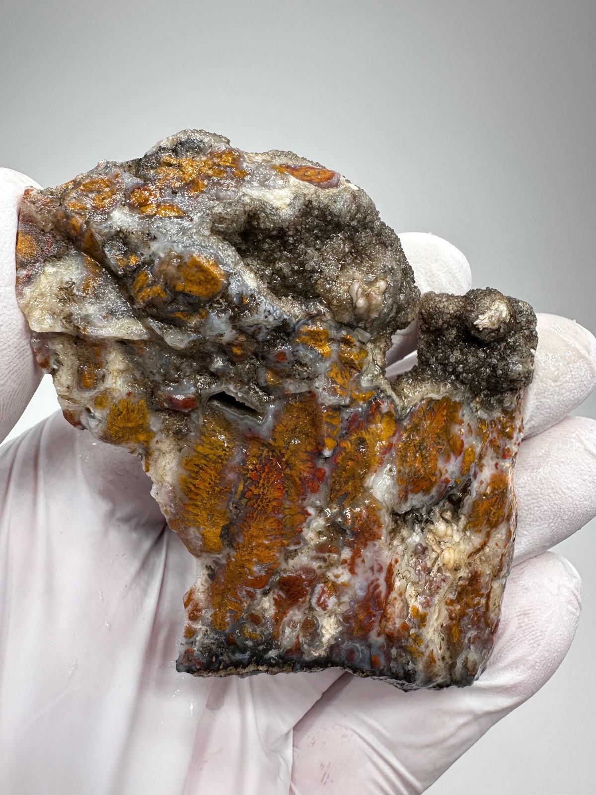 RARE Wingate Pass Plume Agate End-Cut Slab (a.k.a. Death Valley Plume)
