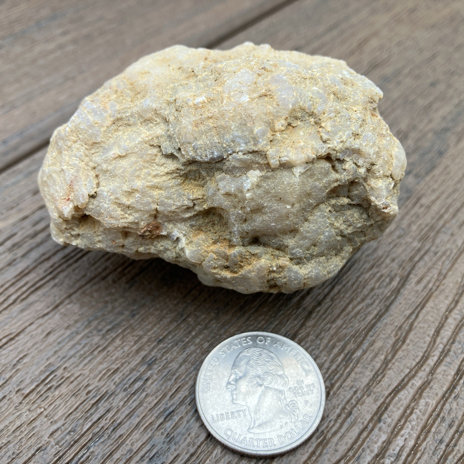 Three Unopened Indiana Geodes Crack Your Own! Fossils Minerals Educational Fun