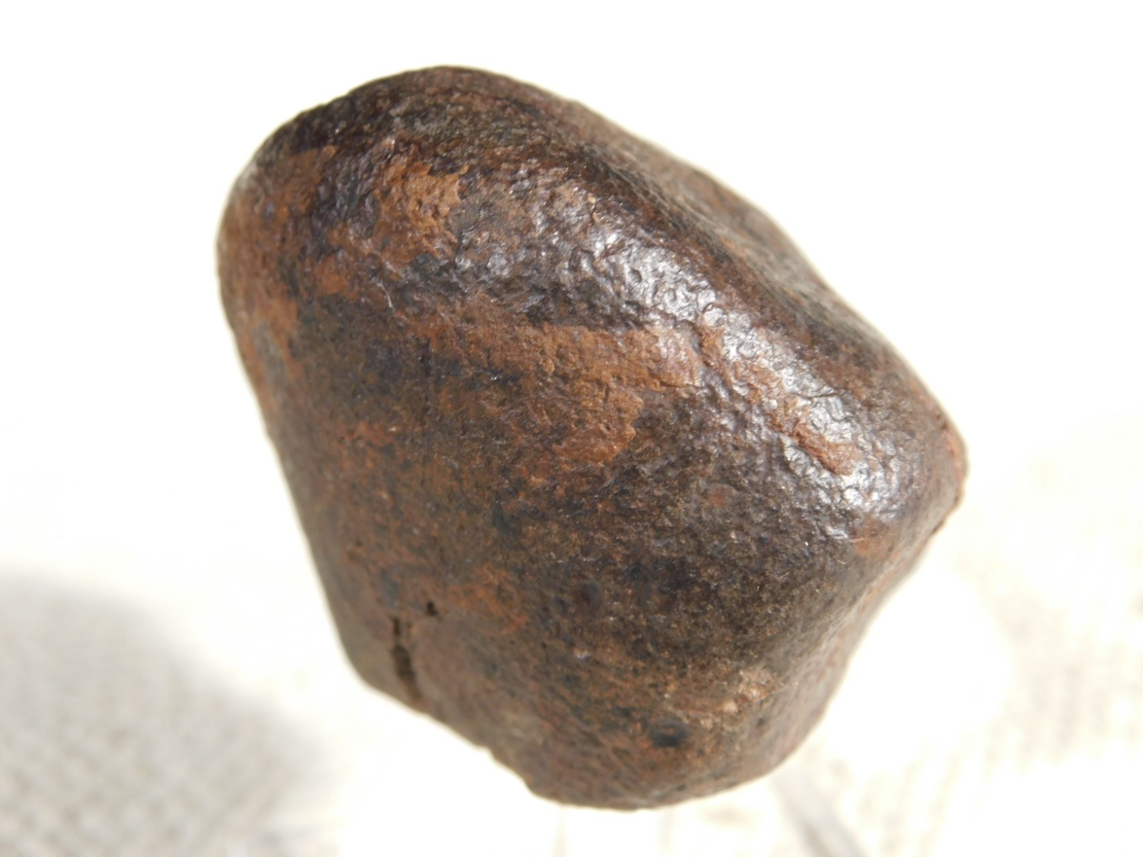 Nice! and 100% Natural Stony METEORITE FELL in Libya 181gr