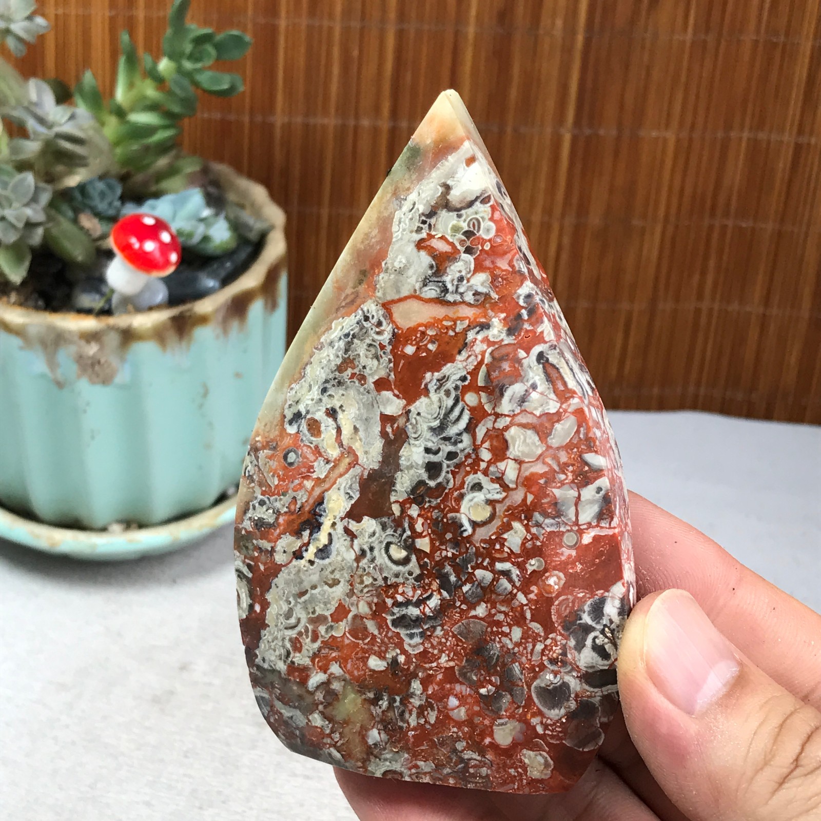 Natural money Mexico agate hand carve leaf Crystal Specimen free standing A6262