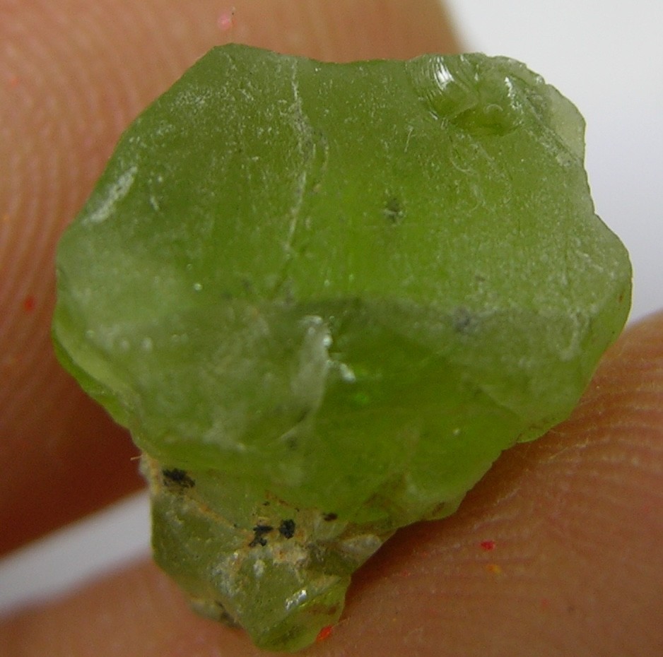 8.50ct USA NM Kilbourne Hole 100% Natural Rough Peridot Specimen 11mm 1.70g