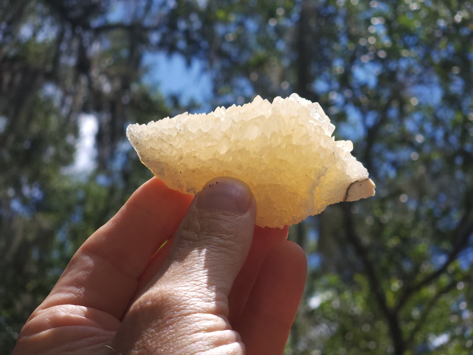 Florida Calcite Crystal Collection 5 pieces LOT Honey Clusters UV Mineral