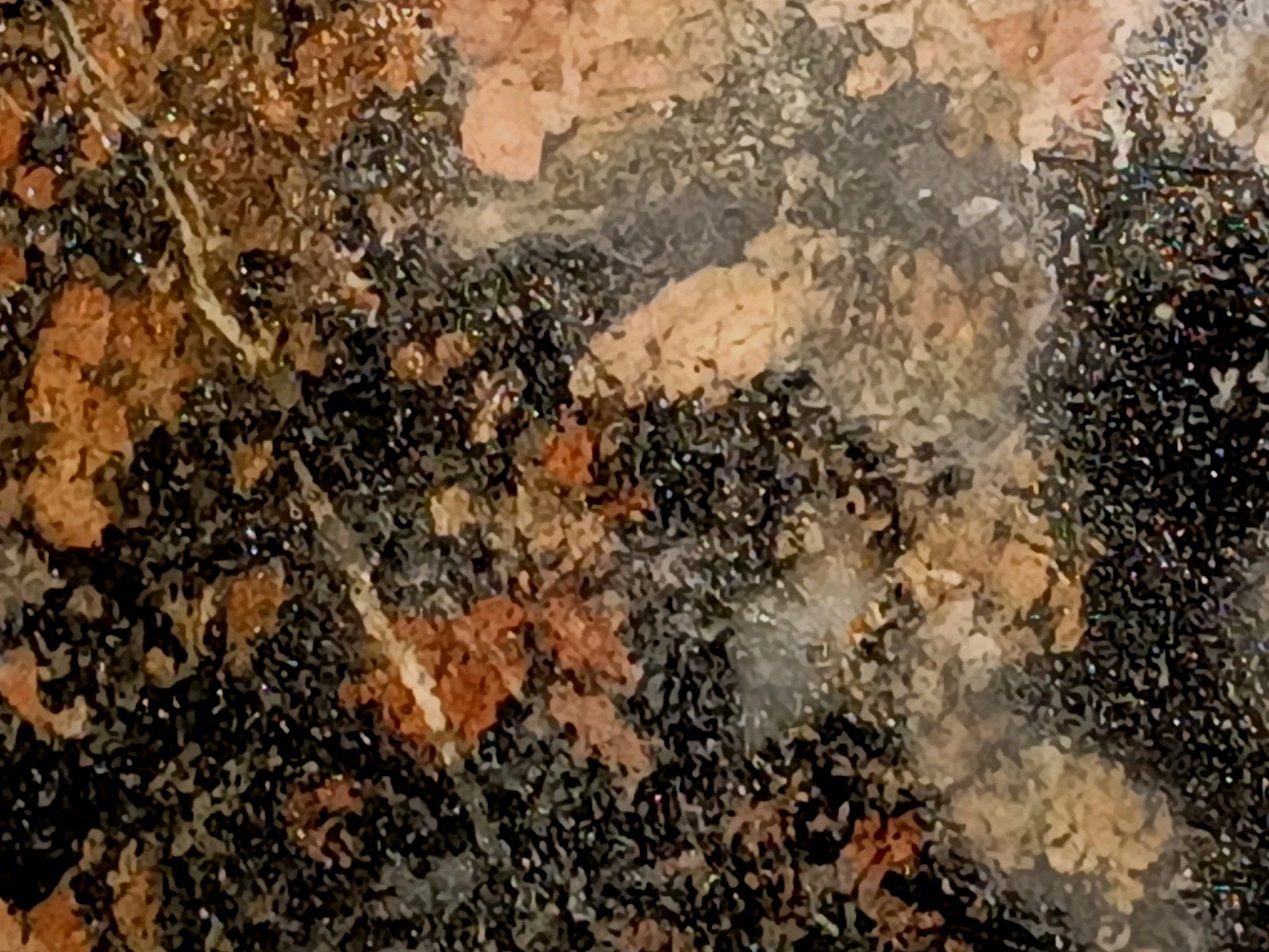 918g Pilot Knob Magnetite Pyrite Chlorite Amphibole Ore Iron County MO Slab