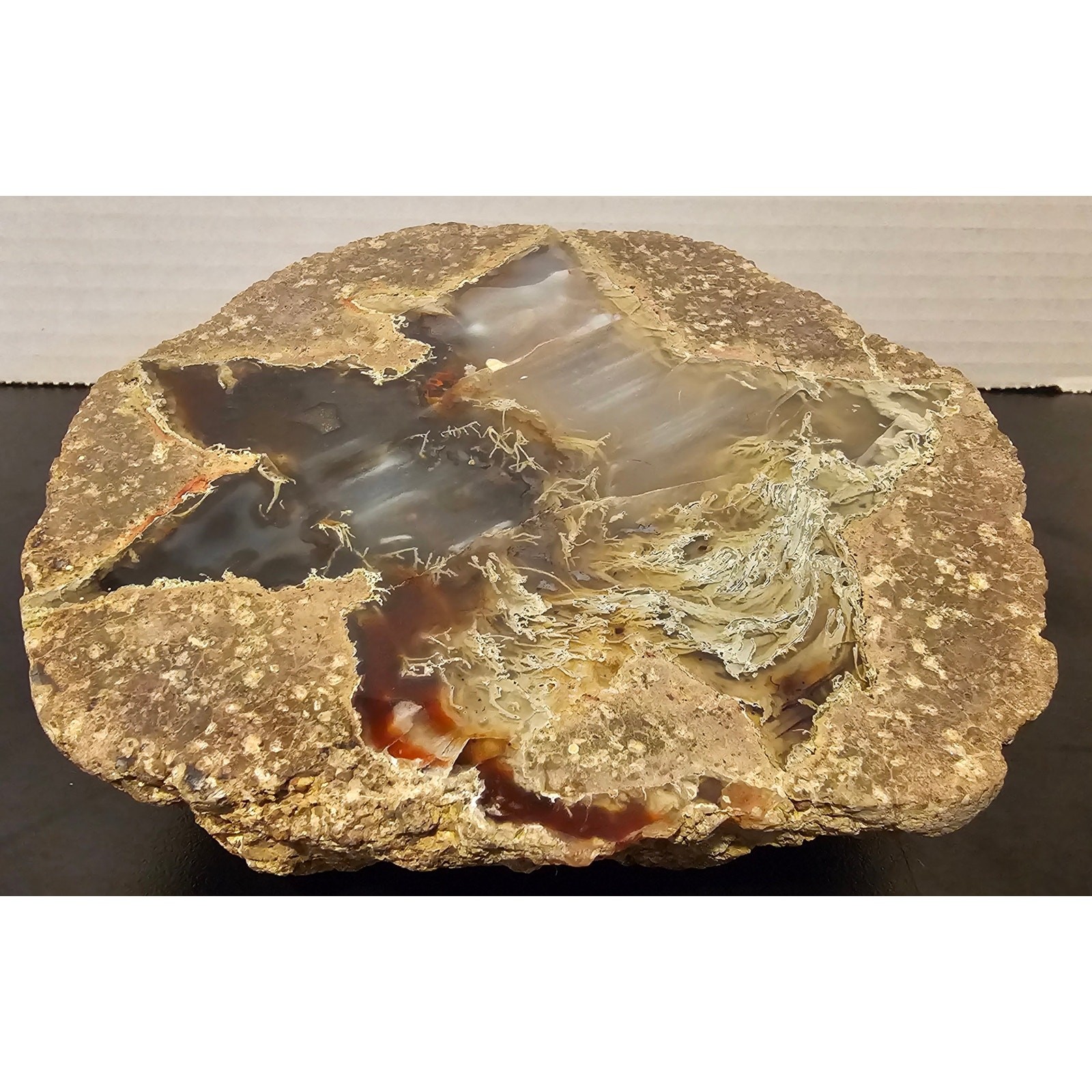 Thunder Egg Geode with Brown and White Chalcedony Crystal