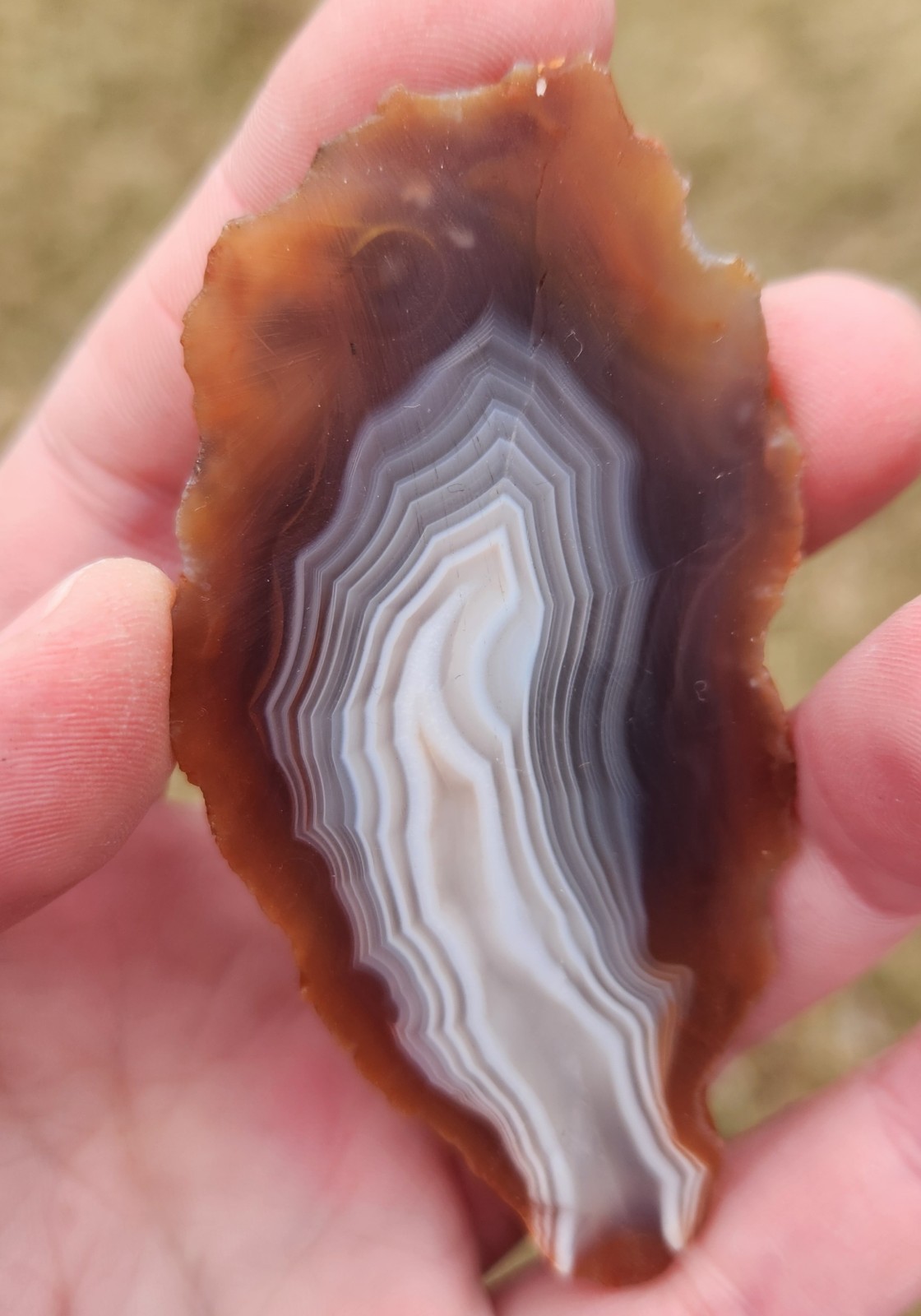 Lake Superior Agate 7.8 Oz Cut Not Polished Pair