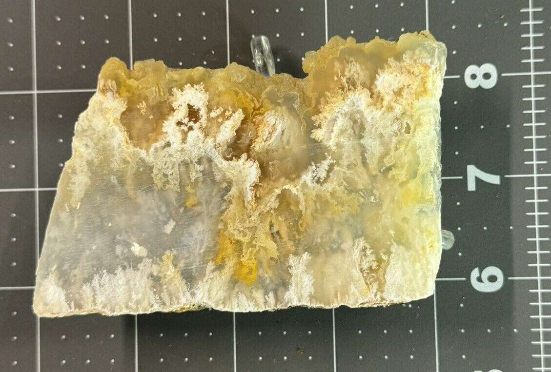Graveyard Point Plume Agate Polished Display – Collectors Slab