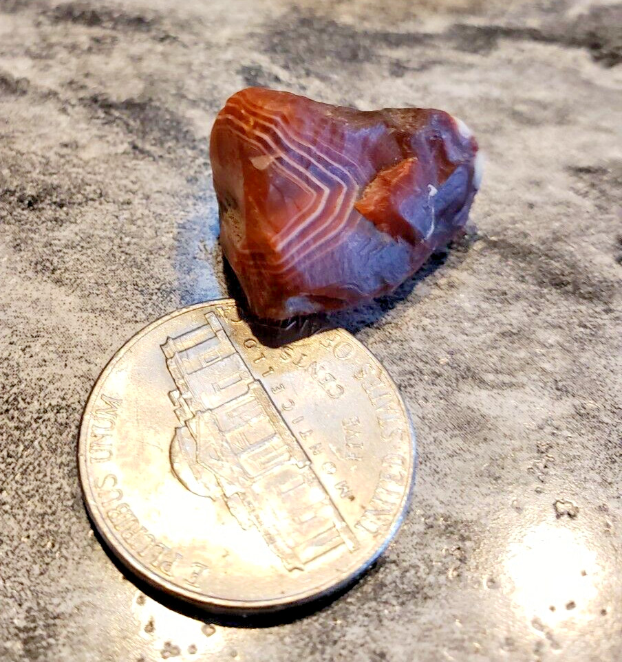 5 Bright Eyed Goblin – Lake Superior Agate – Bonus Banding – Red and White