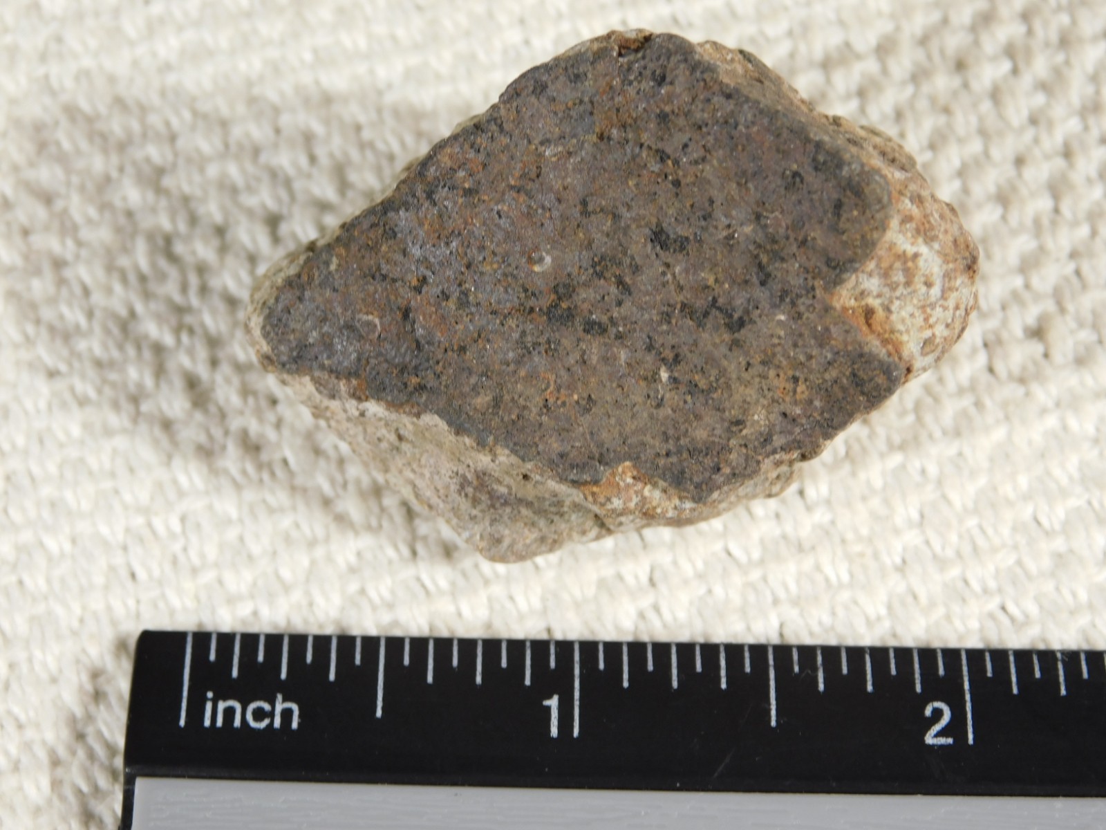 Classified NWA 8245 METEORITE 100% Natural FELL on Erfoud, Morocco 68.0gr
