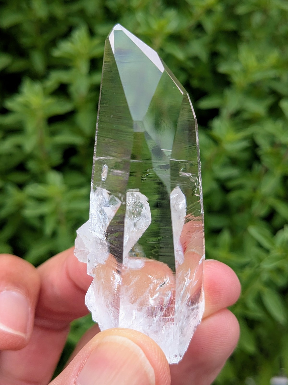 Lemurian Quartz Crystal – Penas Blancas, Colombia