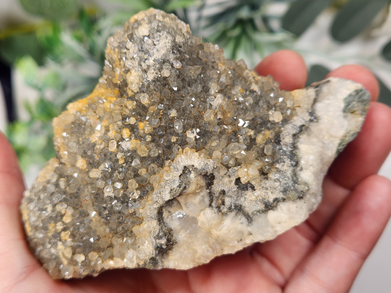 Druzy Quartz From Mexico Crystal Mineral Specimen 274g 3.75in Ep1