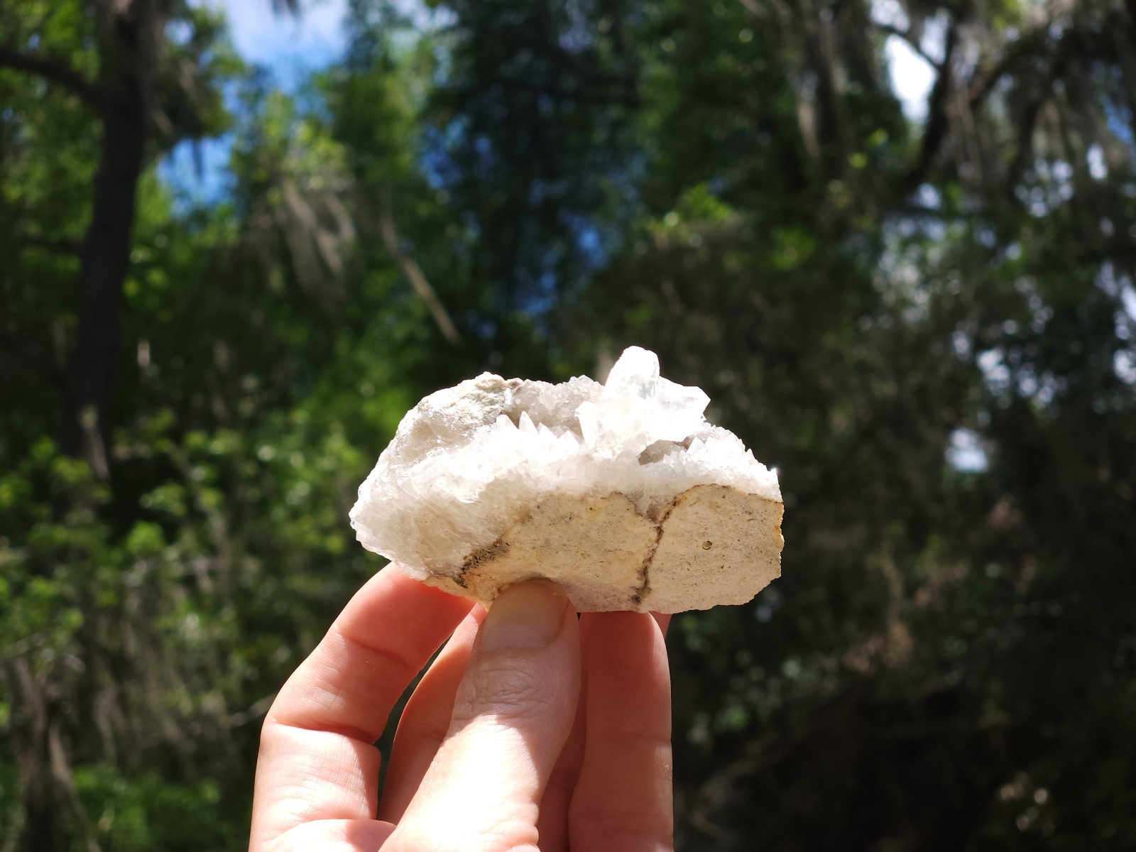 Florida Calcite Crystal Collection 5 pieces LOT Honey Clusters UV Mineral