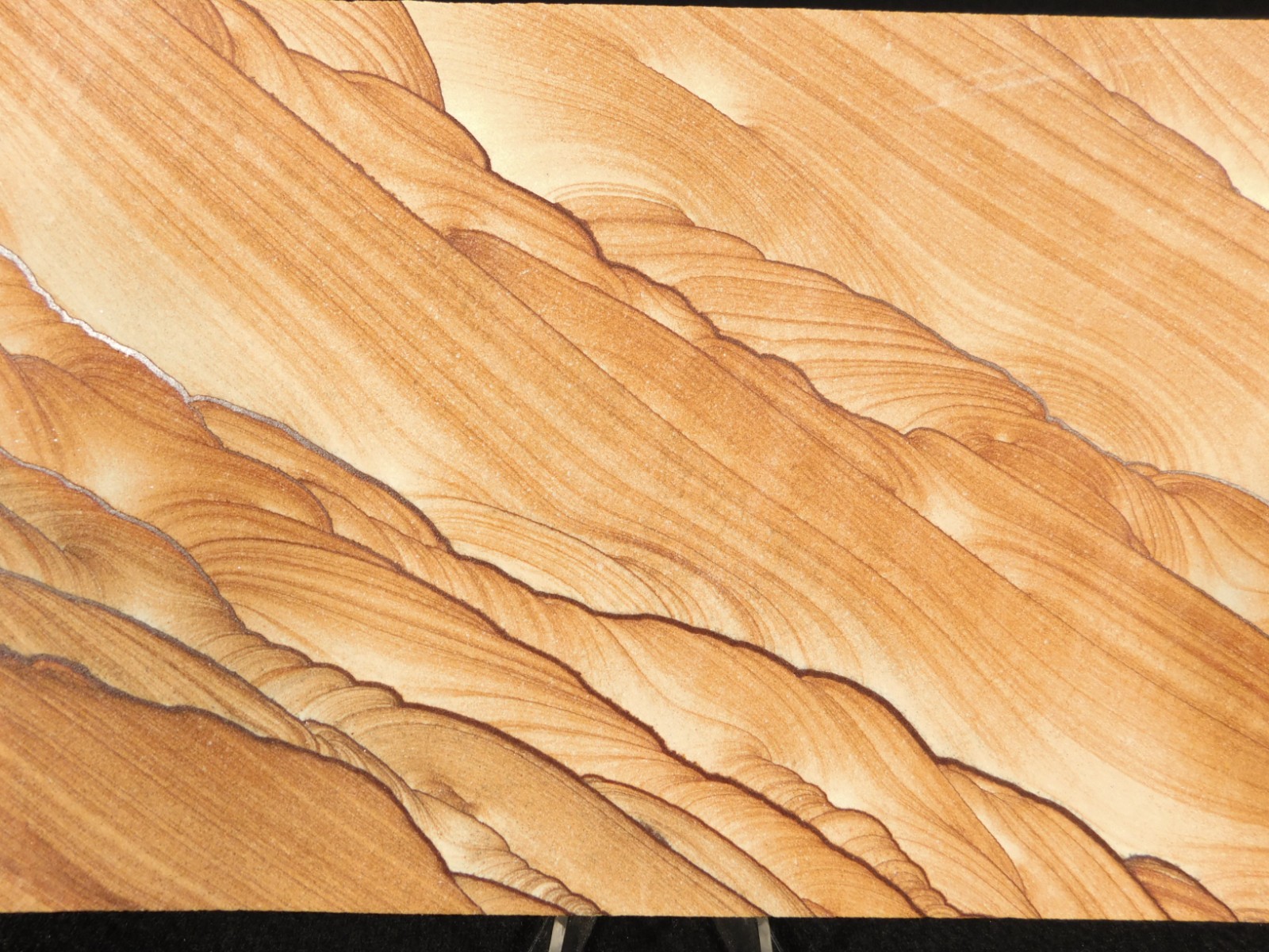Larger! PICTURE Stone or SANDSTONE Slice/Slab with Display Stand Utah 391gr