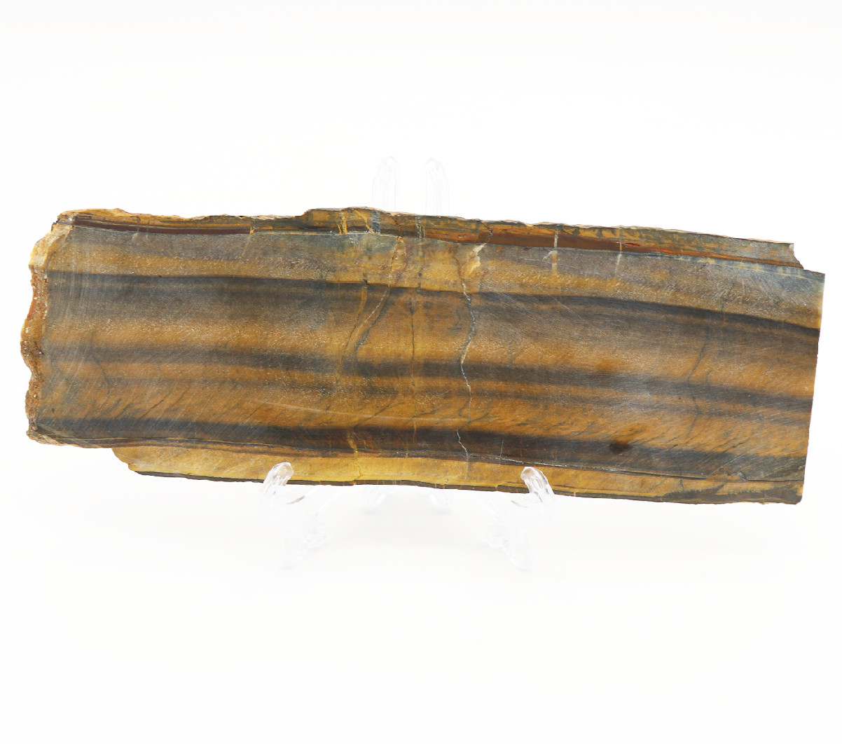 LARGE Elegant TIGERS EYE Fossil Slab SOUTH AFRICAN Mineral Display Collectible