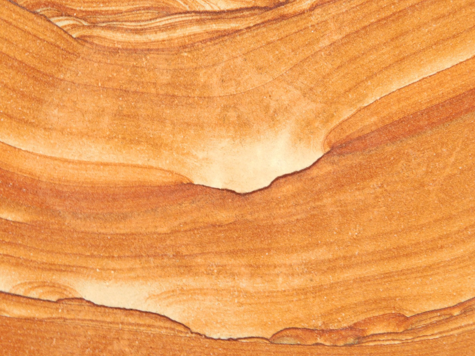 wOw! LARGER PICTURE Stone or SANDSTONE Slice/Slab with Display Stand Utah 541gr