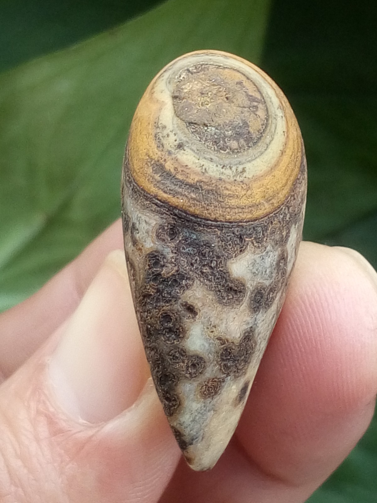 36mm Natural Gobi agate eye agate stone collection