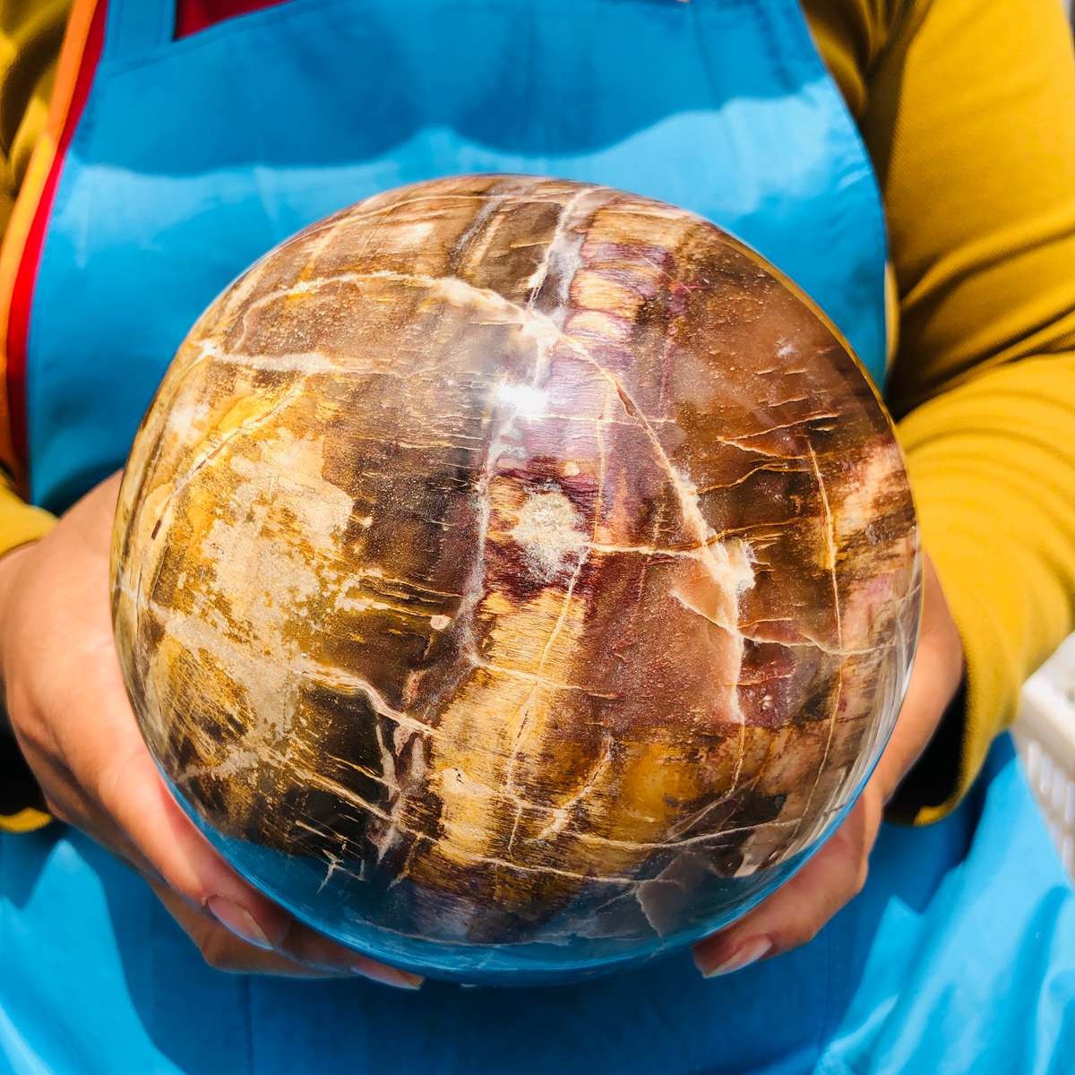 8.18LB Rare Natural Petrified Wood Ball Crystal Quartz Mineral Healing 4698