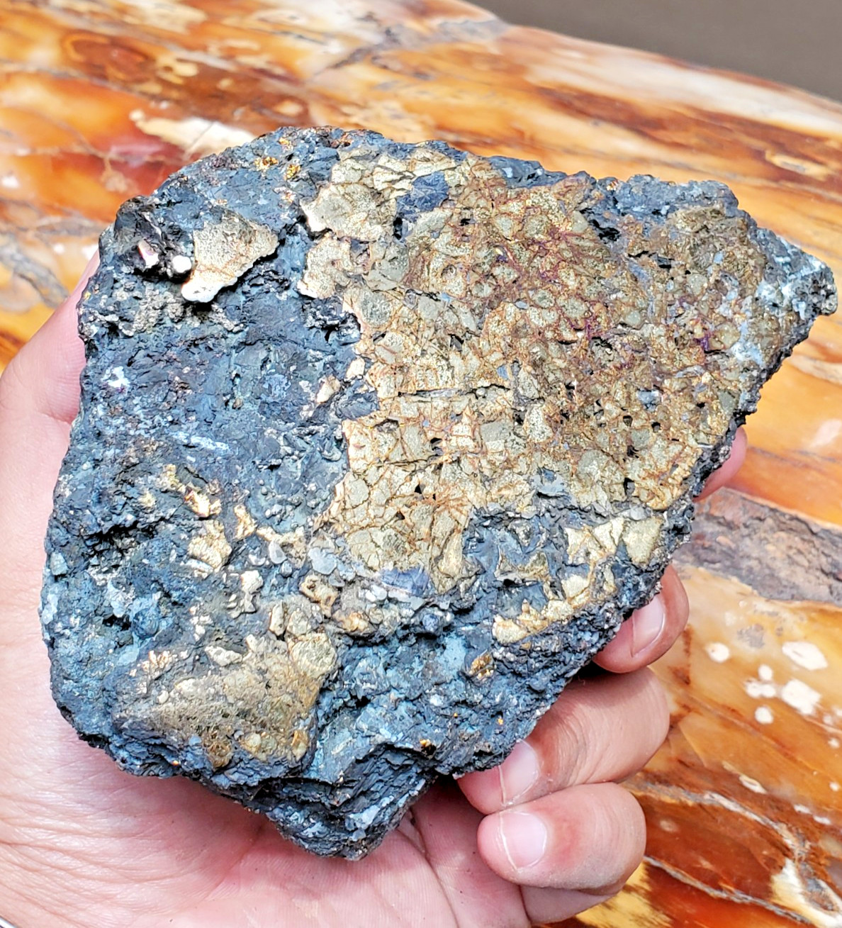 1469G Top Raw Sphalarite ,Chalcopyrite Peacock Partly Polished Specimen