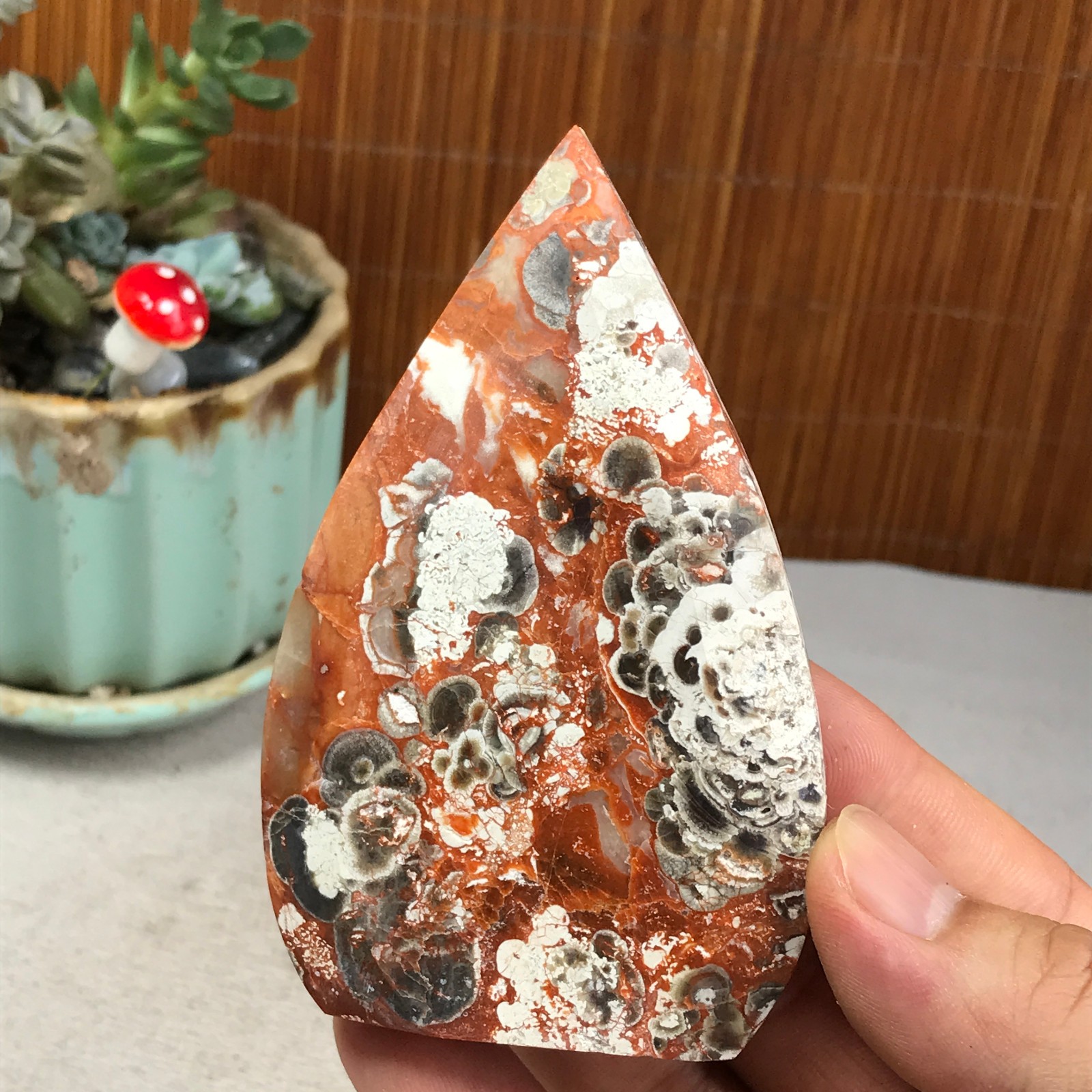 Natural money Mexico agate hand carve leaf Crystal Specimen free standing A6266