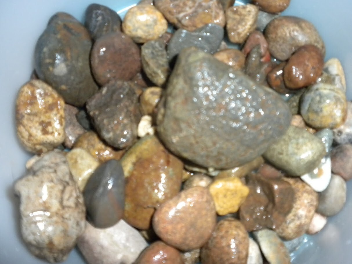 WASHINGTON MIXED ROUGH RIVER AND MOUNTAIN ROCKS FOR CRAFTS, NOT POLISHED!