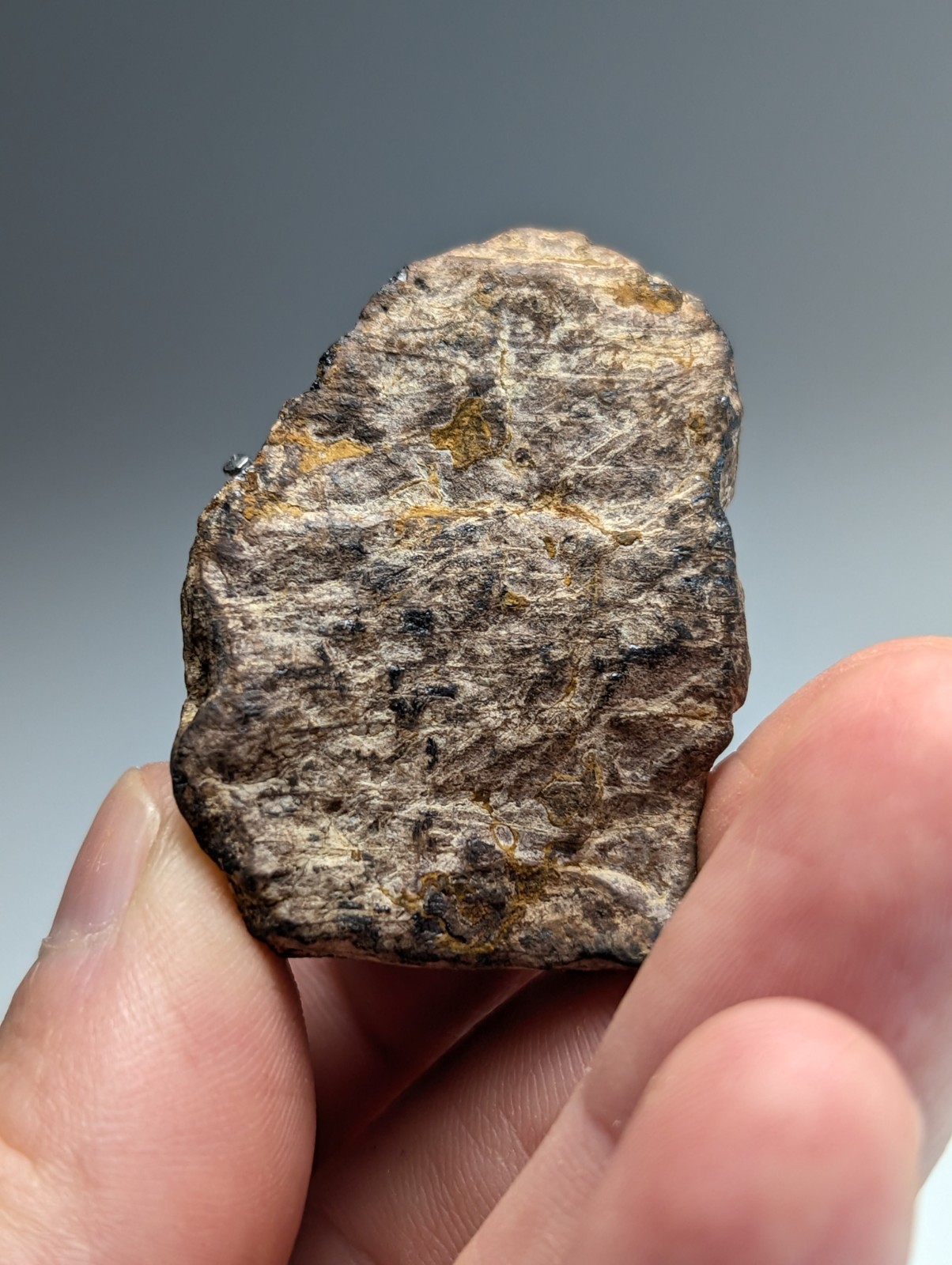 Magnetite (lodestone), Magnet Cove, Hot Spring County, Arkansas, Natural Magnet!