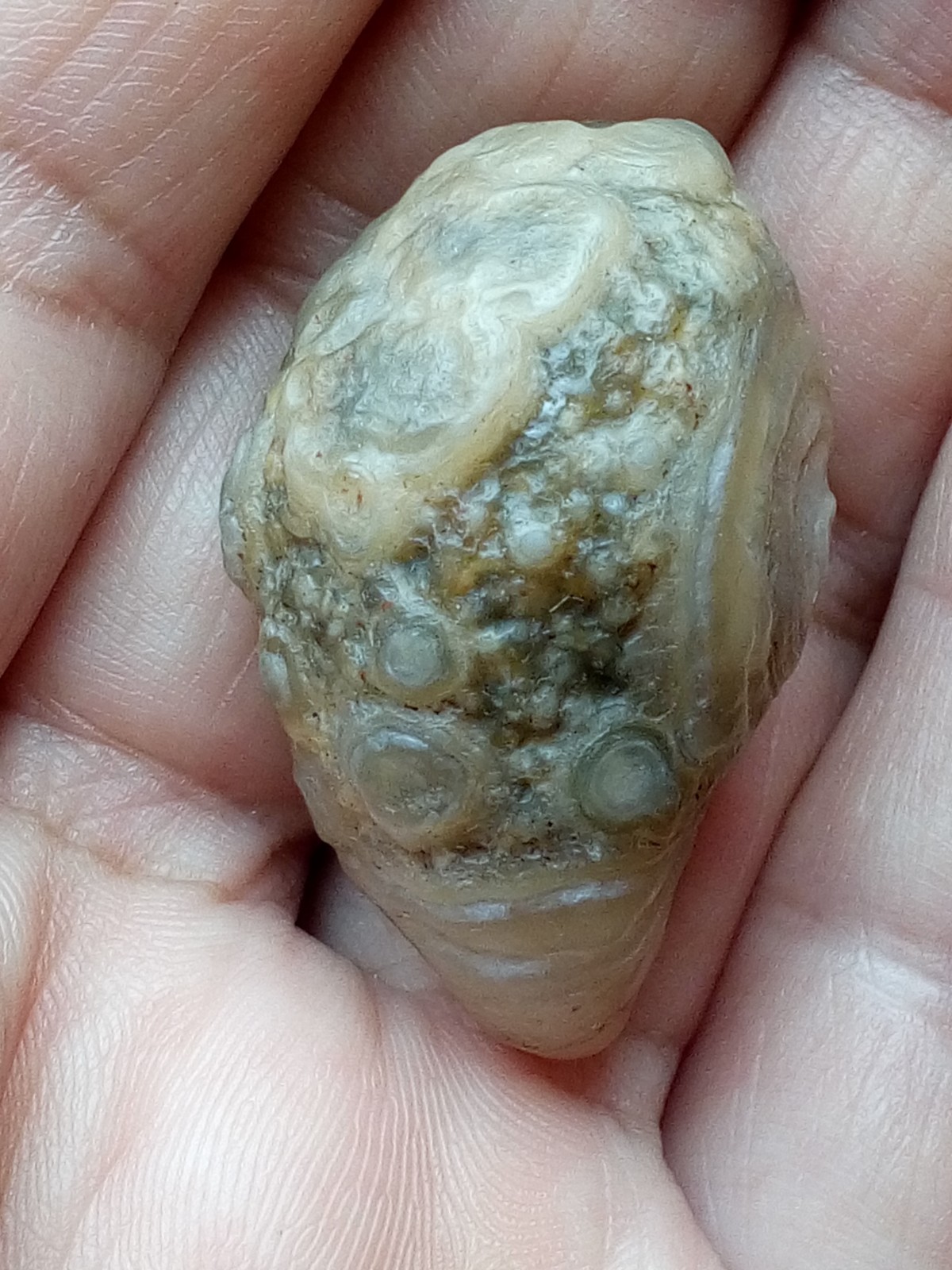 36mm rare Natural GoBi agate eye agate cute collection