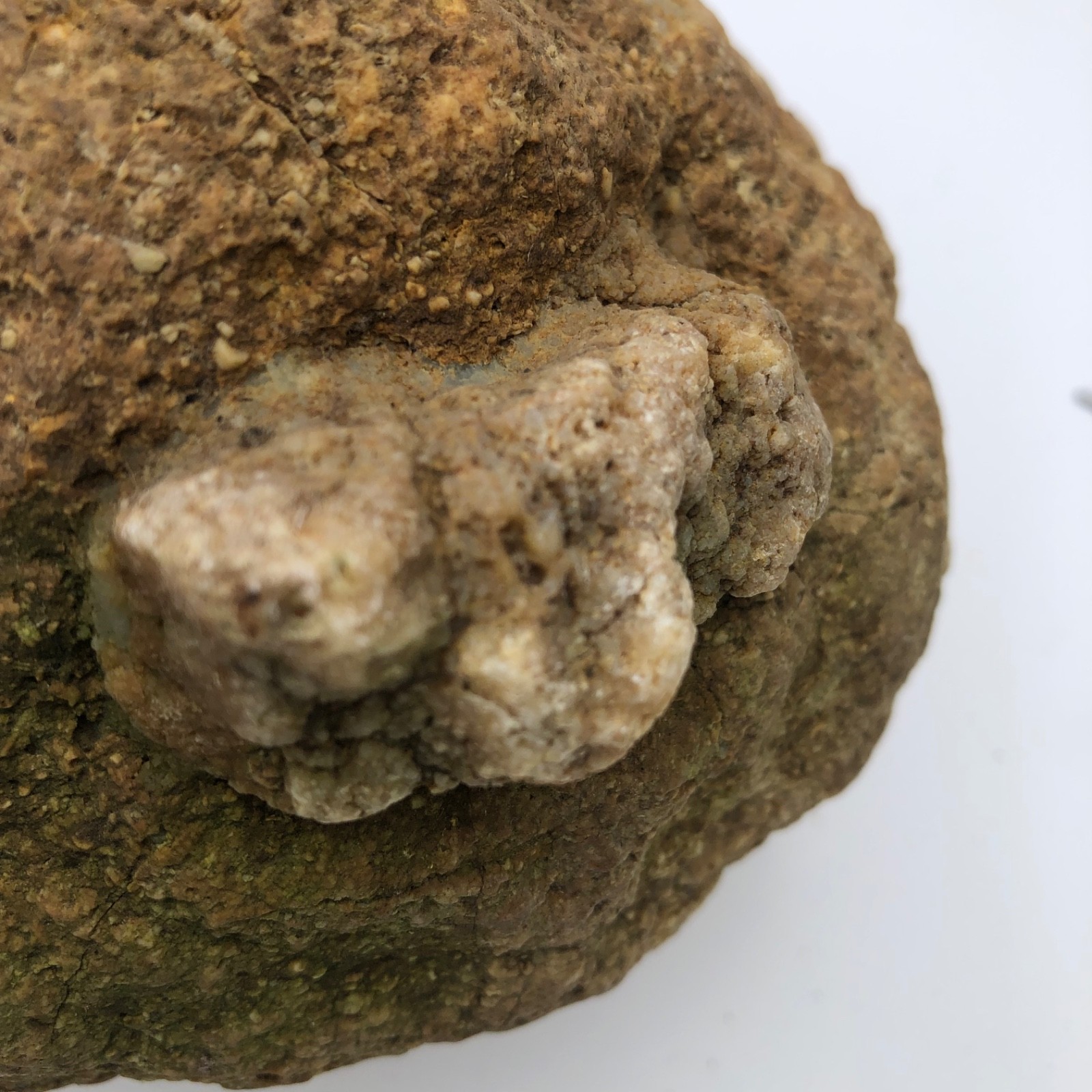 4 lb Unopened Kentucky Geode Rattler Break Your Own Hand Picked Natural Quartz