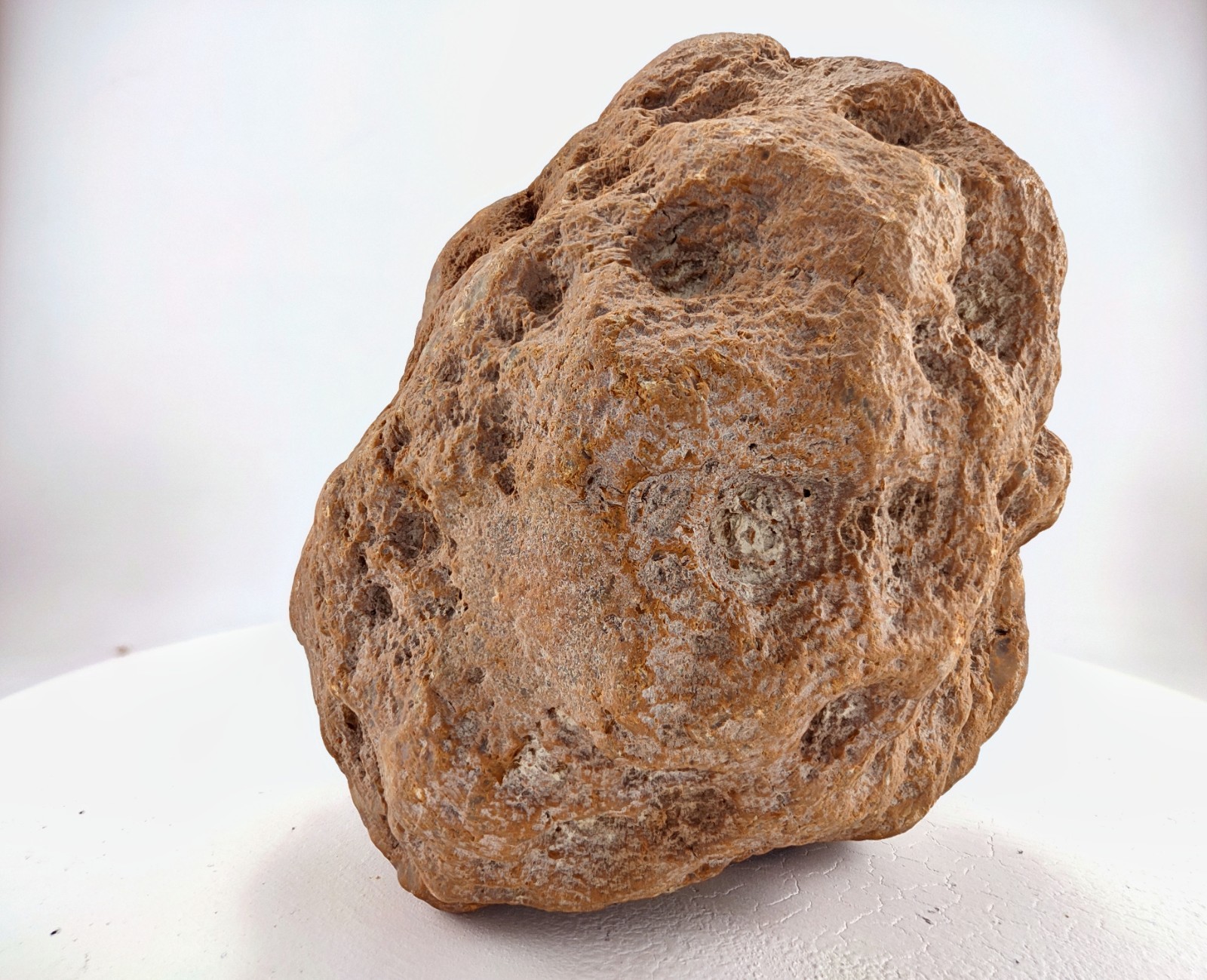 8″ Unopened Geode Nodule Round Bumpy Exterior Kentucky Quartz Crystal 8.4 LB