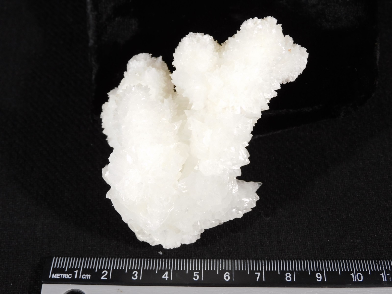 Bright White! CAVE Aragonite STALACTITE Crystal Cluster Mexico 145gr