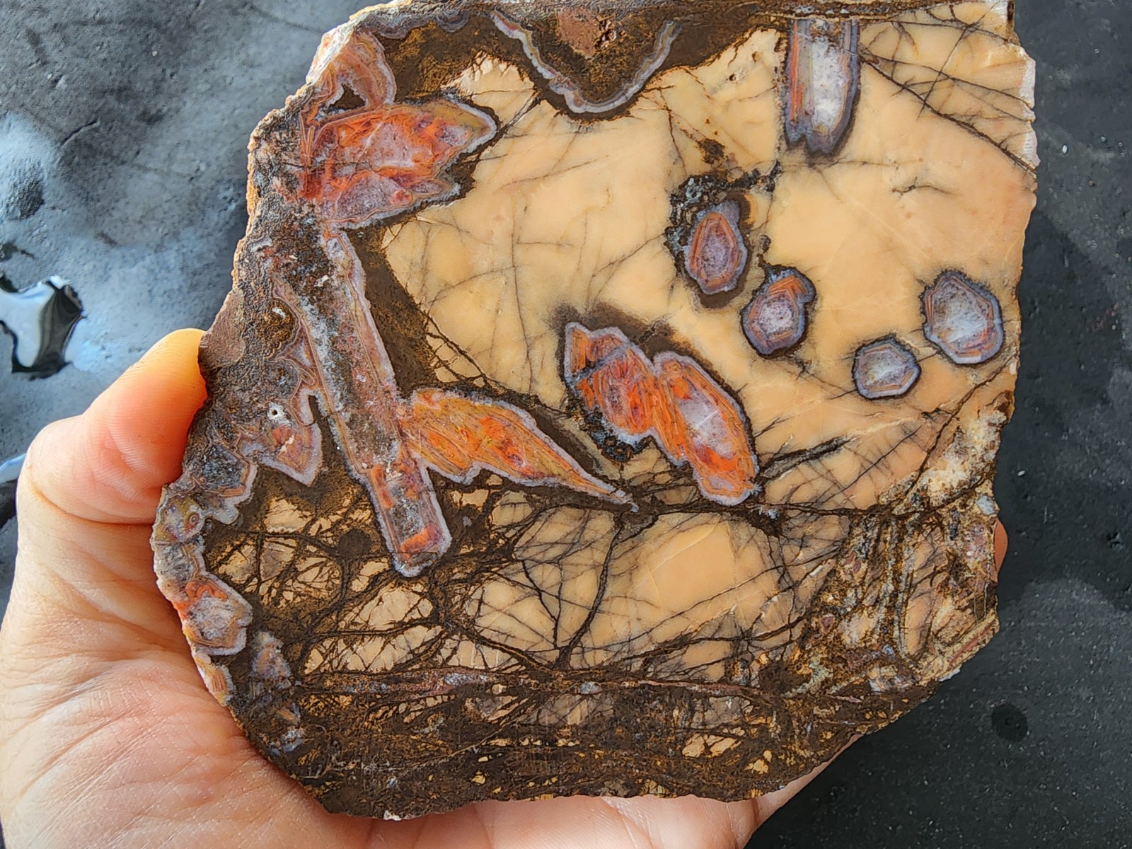 3.3 lbs (1.5 kg) Unpolished Agate, Almus Agate, Large Agate Pair, アゲートのペア, العقي