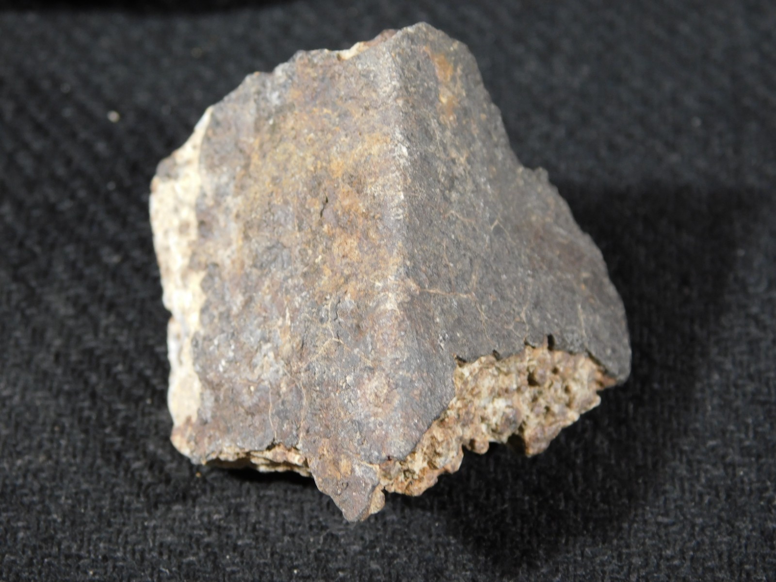 Classified NWA 8245 METEORITE 100% Natural FELL on Erfoud, Morocco 47.3gr