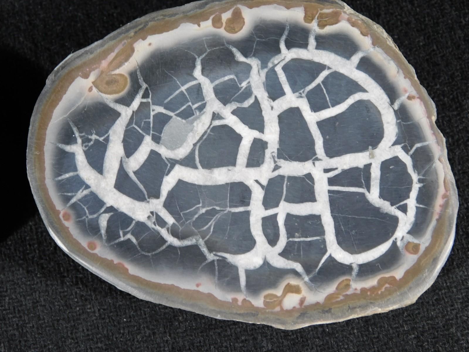 Neat! Lighting Like Pattern! Split and Polished SEPTARIAN Nodule Morocco 248gr