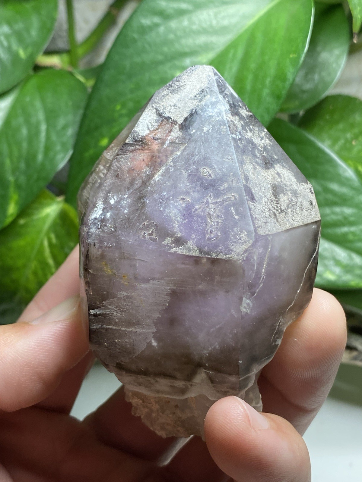 269 Gram Large Smoky Amethyst Scepter – Namibia, Africa