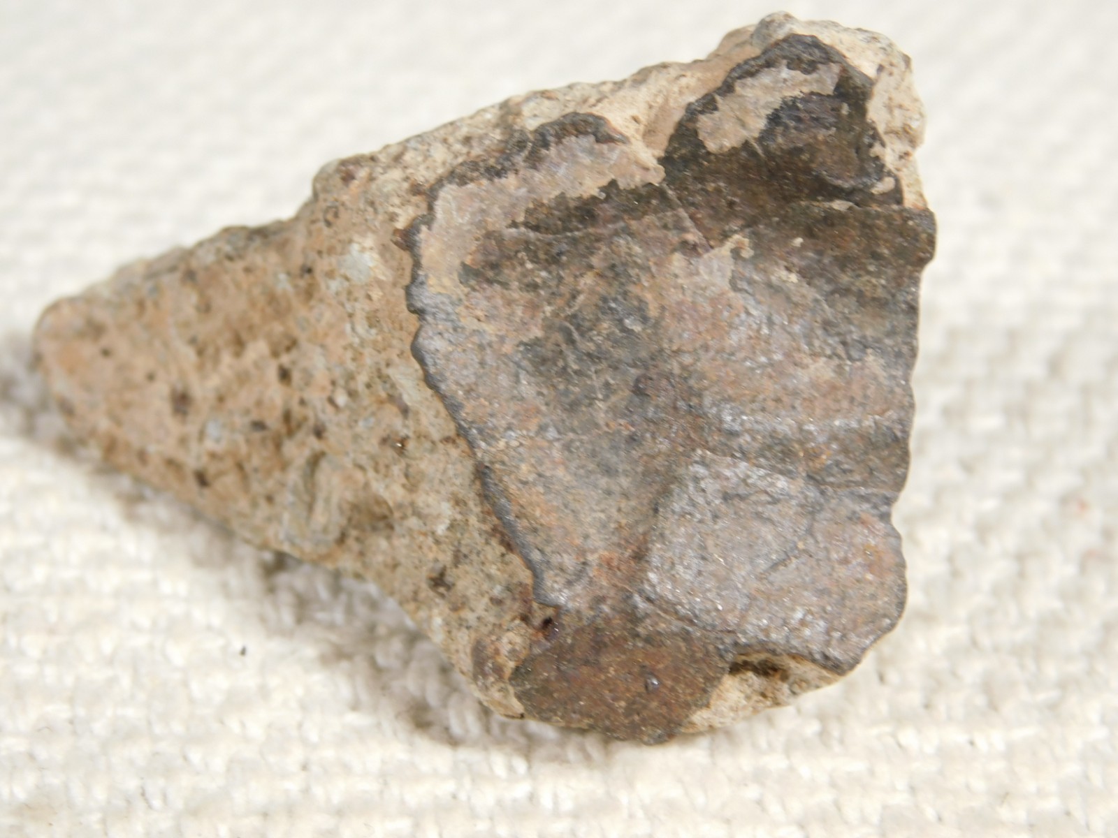 Classified NWA 8245 METEORITE Spots of Dark Fusion Crust! Erfoud, Morocco 55.4gr