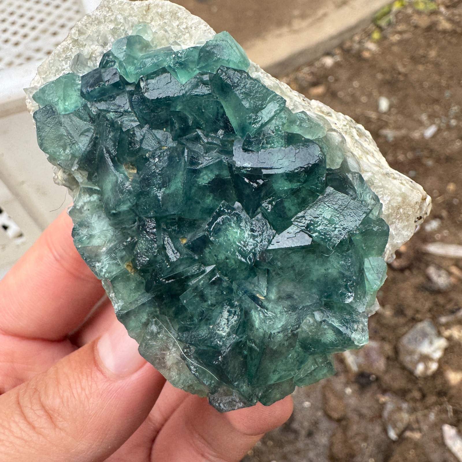 145G Natural cubic green fluorite crystal cluster rough mineral specimen Healing