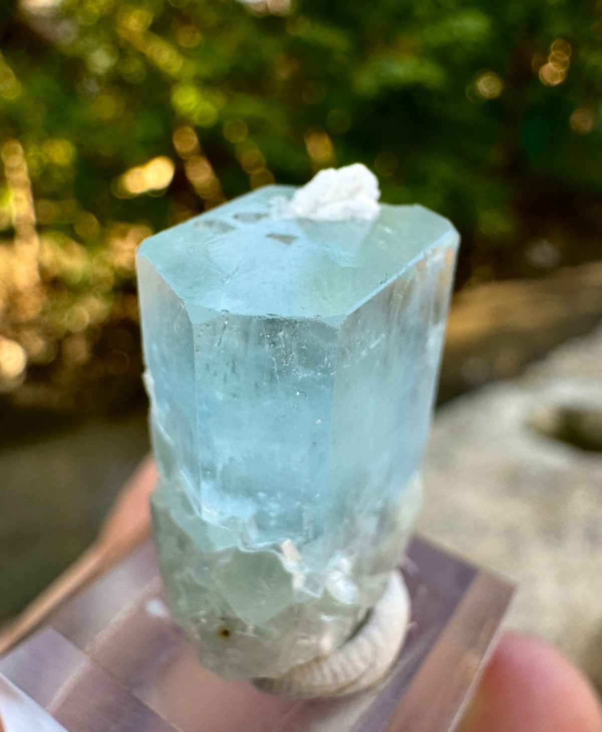 Natural Sky Blue Terminated Aquamarine Combine Crystal , 40 Carats @ Minerals
