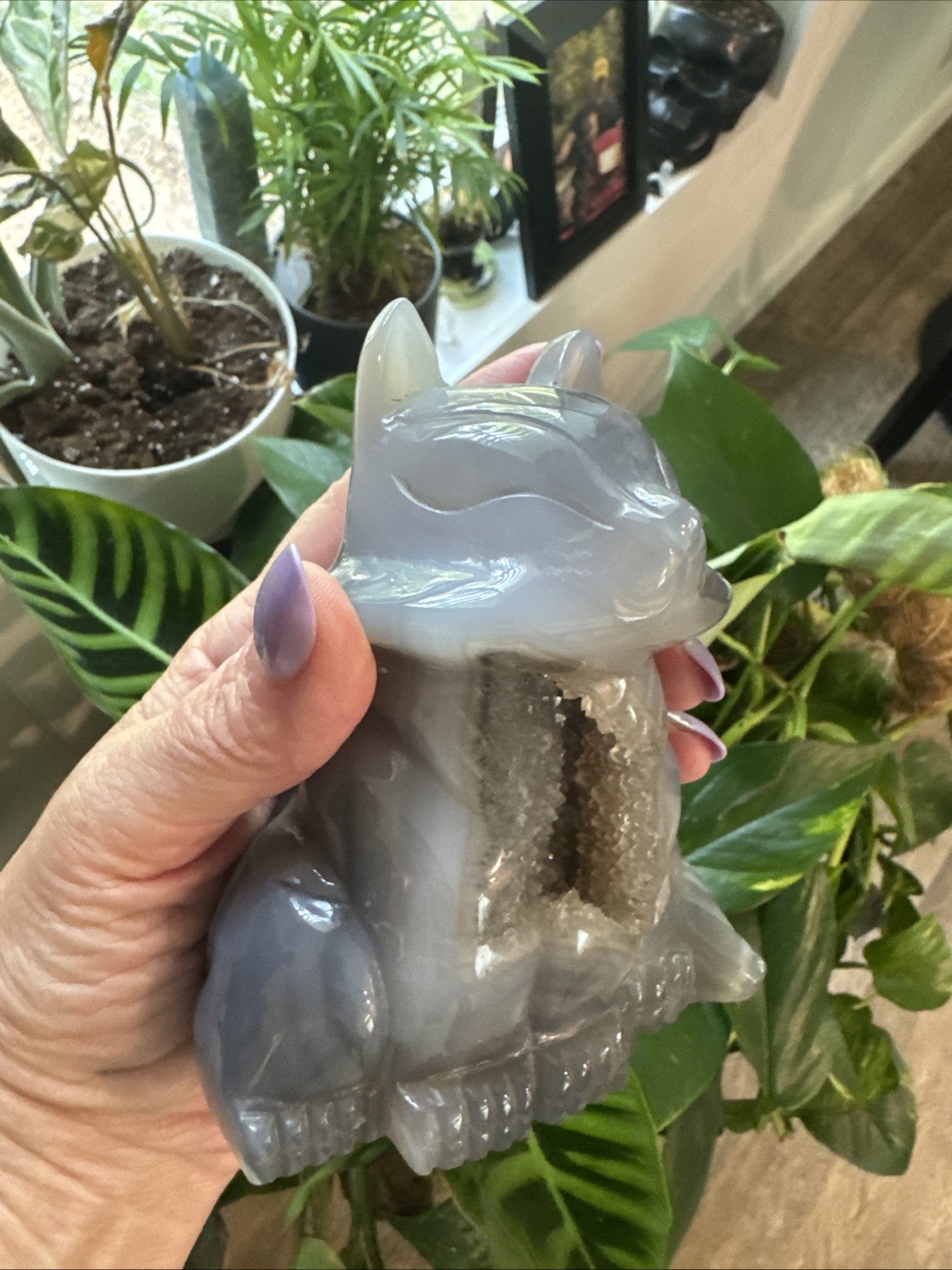 Druzy Agate Crystal Fox Carving 5.25” Over 1.5 Lbs