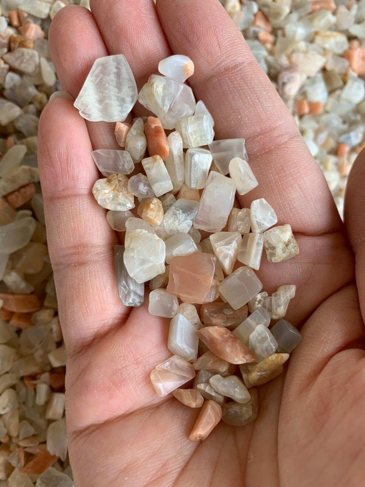 Moonstone Mix Semi Tumbled Gemstone Mini Chips 5-15 mm, Wholesale Bulk Lot