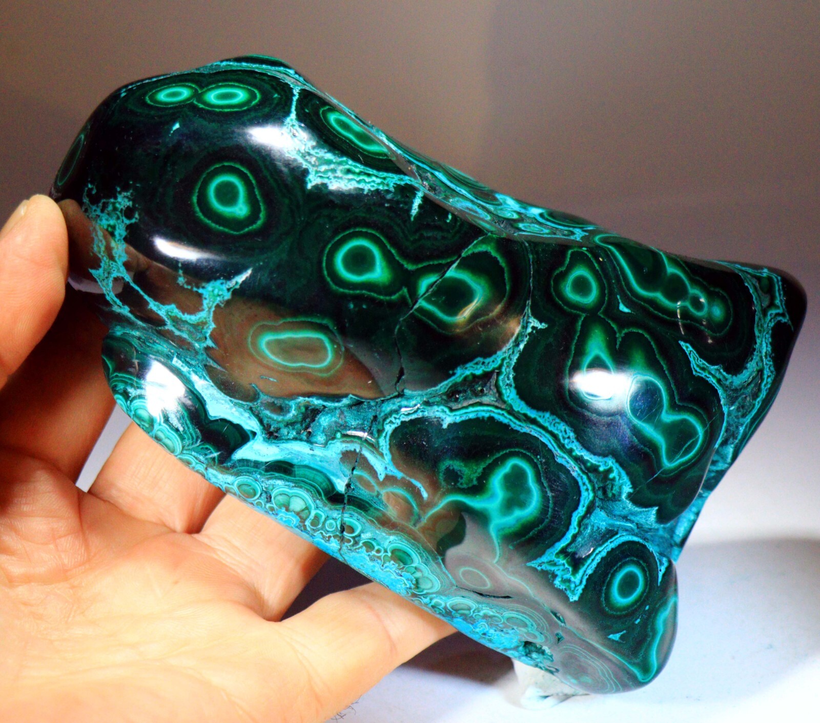 5.75 in 2 lb 12.6 oz Vivid Chrysocolla Malachite w/Superb Pattern, Congo! CR178