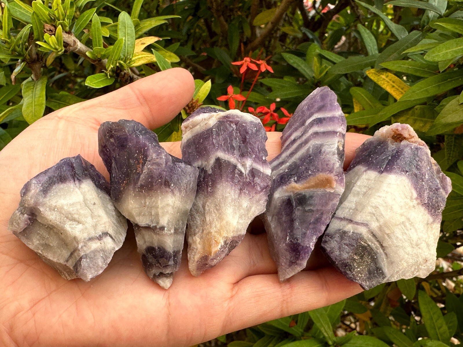 Extra Large Chevron Amethyst Rough Stone, 2″- 7″ Raw Chevron Amethyst Crystals