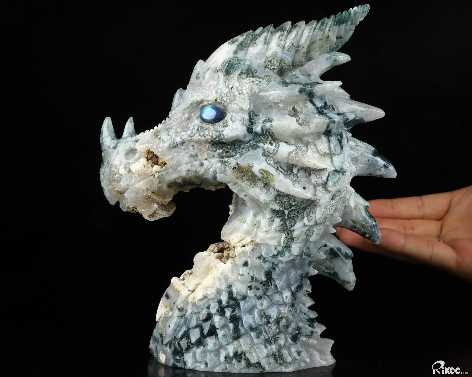 6.9″ Green Moss Agate Carved Crystal Dragon & Labradorite Eyes , Realistic