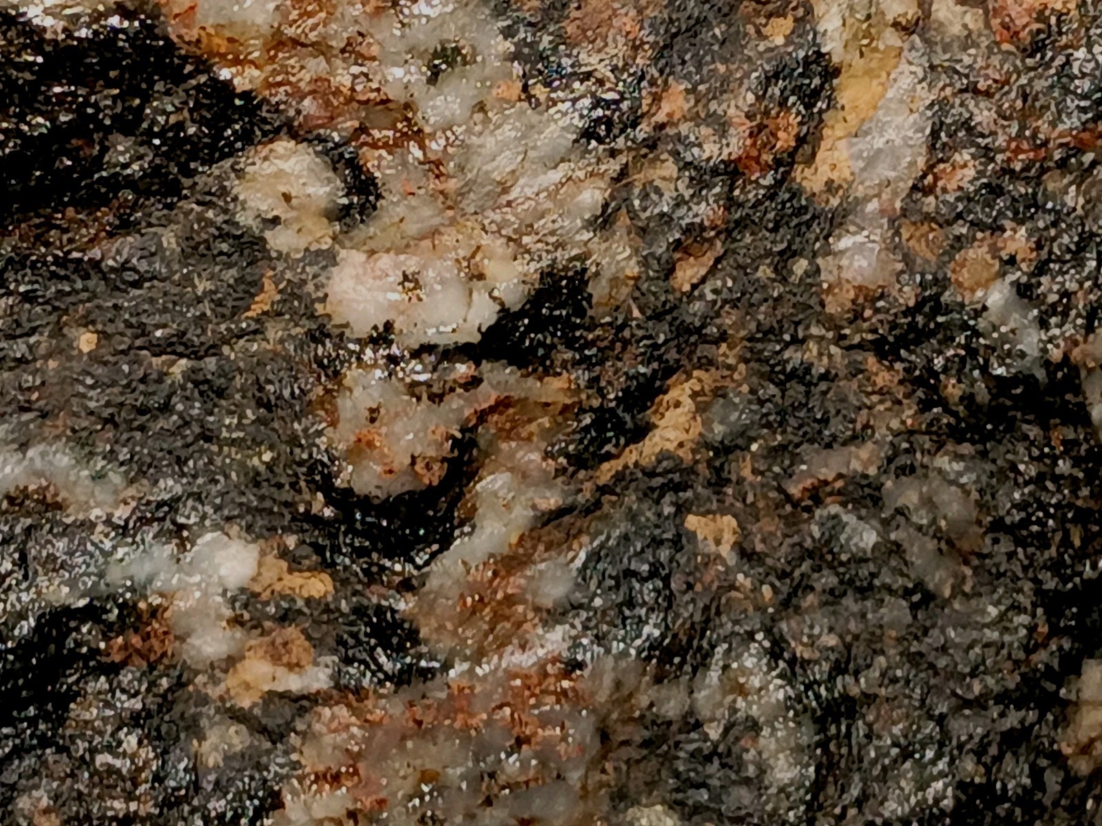 918g Pilot Knob Magnetite Pyrite Chlorite Amphibole Ore Iron County MO Slab