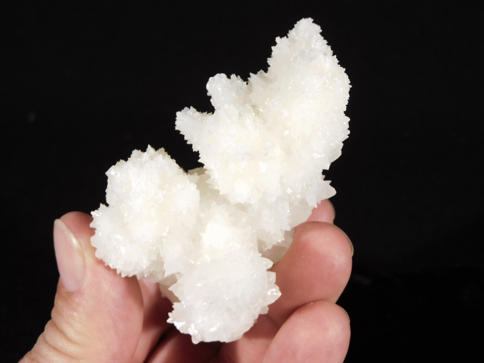 Bright White! CAVE Aragonite STALACTITE Crystal Cluster Mexico 145gr