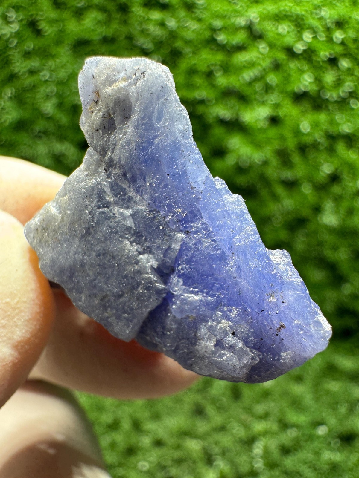 TANZANITE Crystal with COLOR CHANGE under yellow/white light / F514