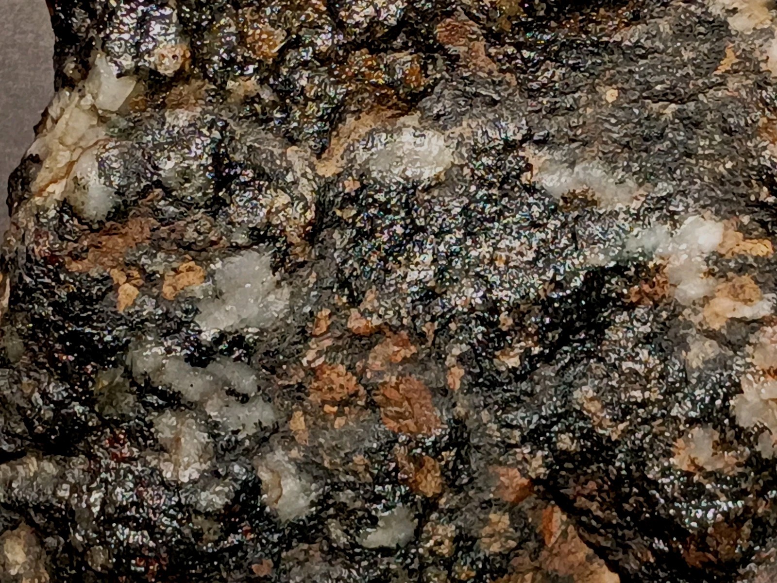 918g Pilot Knob Magnetite Pyrite Chlorite Amphibole Ore Iron County MO Slab