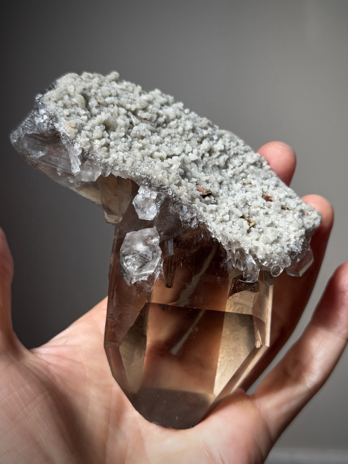 Diamantina Quartz Crystal Starbrary Quartz Natural Smoky Quartz Brazil Crystal